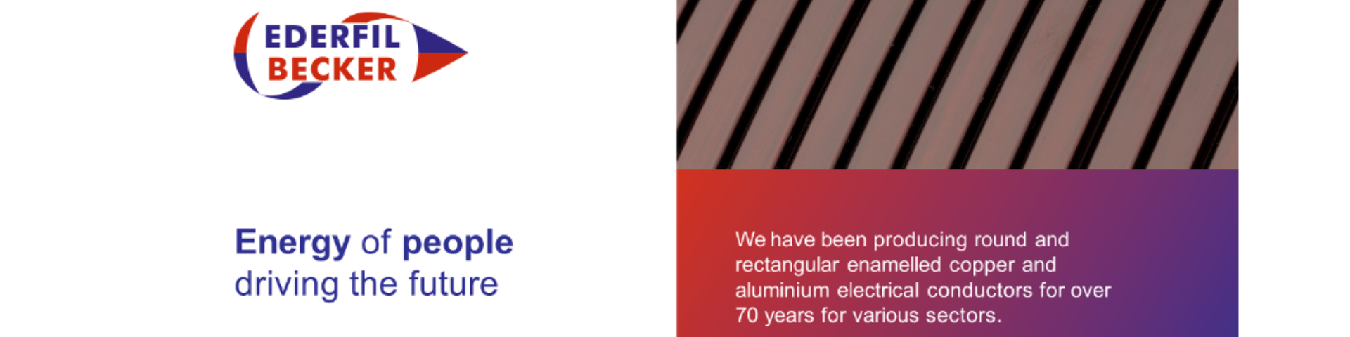 Cabecera Ficha Socio