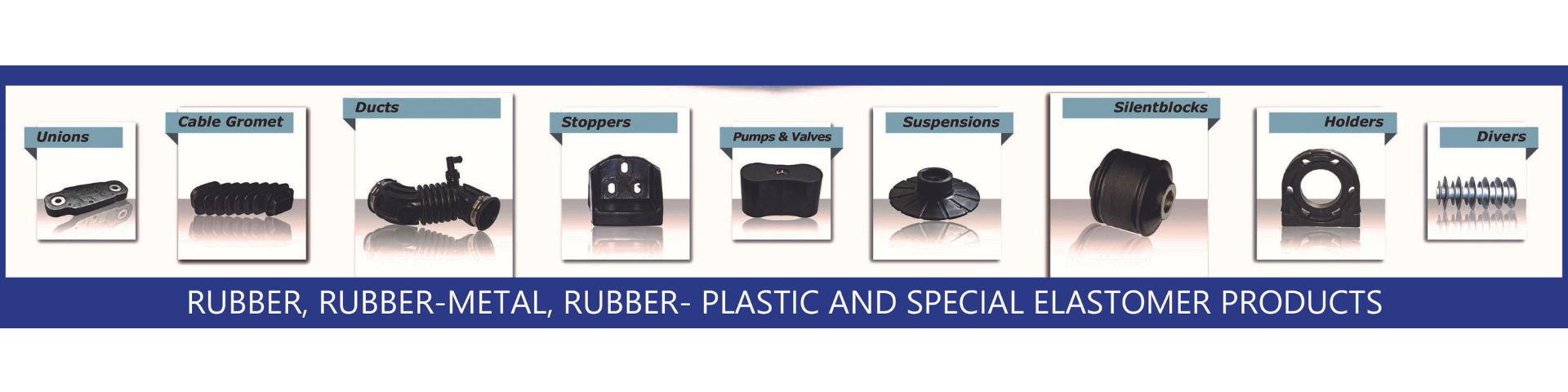 Cabecera Ficha Socio