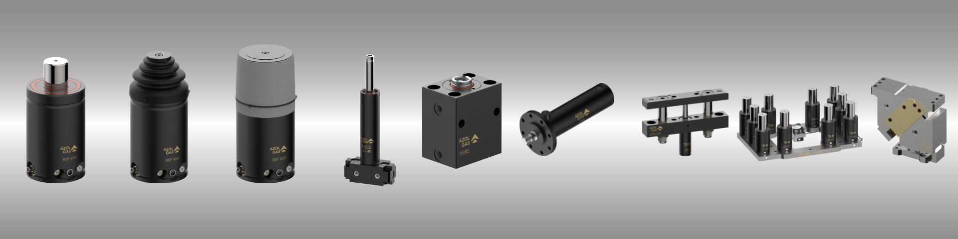 Cabecera Ficha Socio