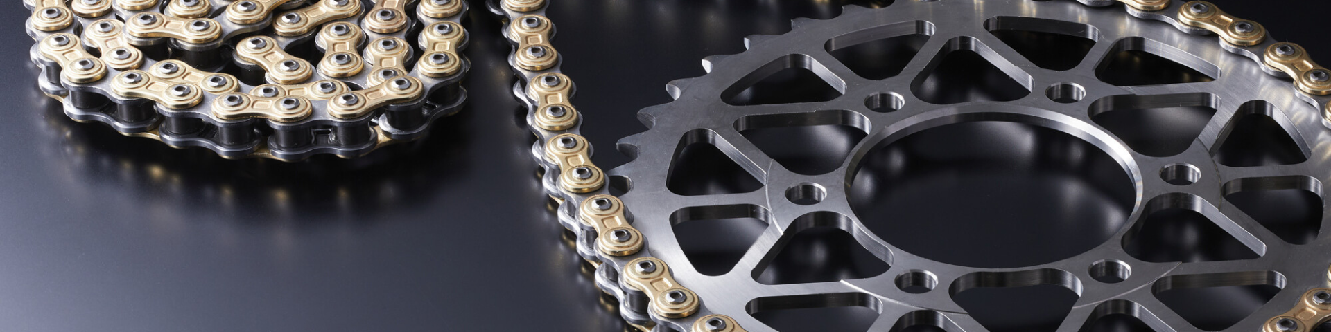 Cabecera Ficha Socio