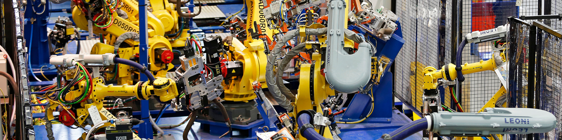 Cabecera Ficha Socio