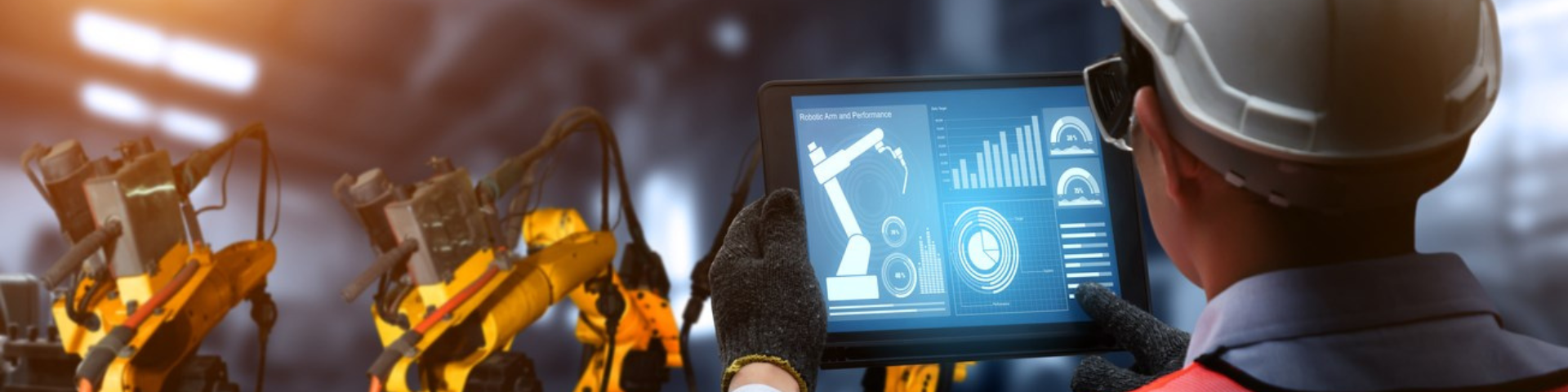 Cabecera Ficha Socio