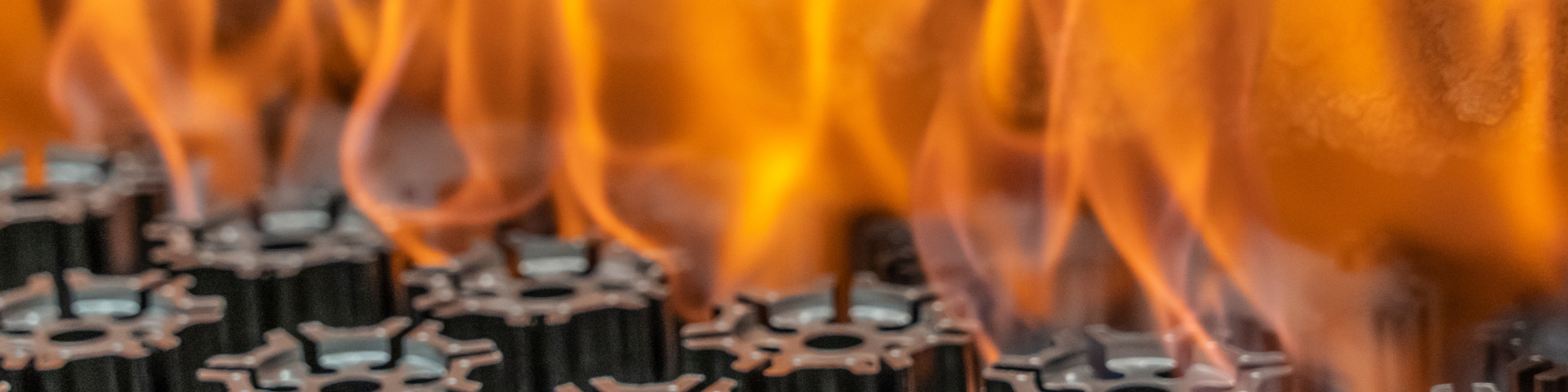 Cabecera Ficha Socio