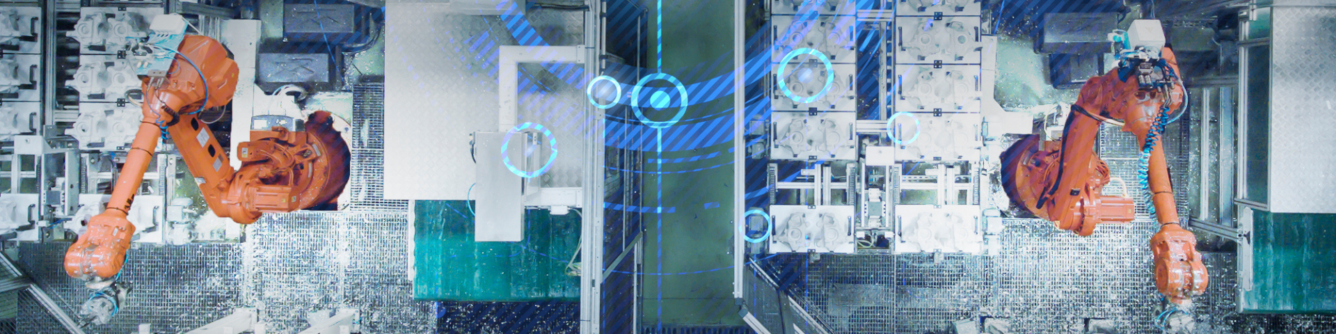 Cabecera Ficha Socio